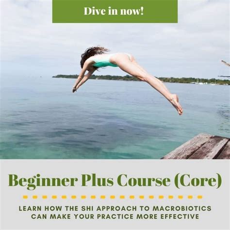 Shi Macrobiotics Macrobiotic Institute Online Courses
