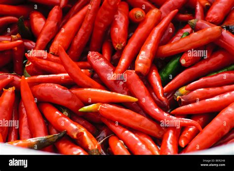 Red Hot Chili Peppers Stock Photo Alamy