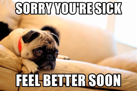 Feel Better Meme Discover more interesting Feel Better, Get Well Soon ...