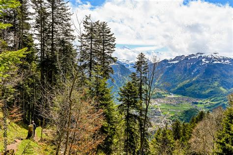 Interlaken Harder Kulm Wald Waldweg Wanderer Schutzwald