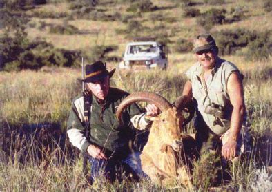 Aoudad or Barbary Sheep - Africa | Big Game Hunting Records - Safari Club International Online ...