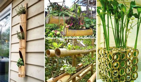 15 The Most Creative Planters Made Out Of Bamboo