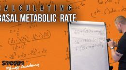 Descubre cómo calcular tu metabolismo basal y acelerar tu pérdida de