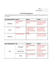 Understanding Biological Molecules Study Guide For Bio Exam