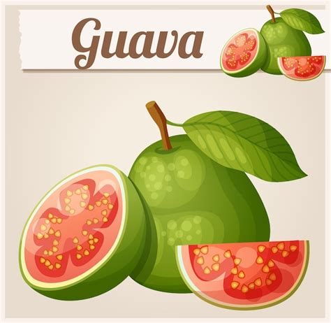 Icono De Vector De Dibujos Animados De Fruta De Guayaba Vector Premium