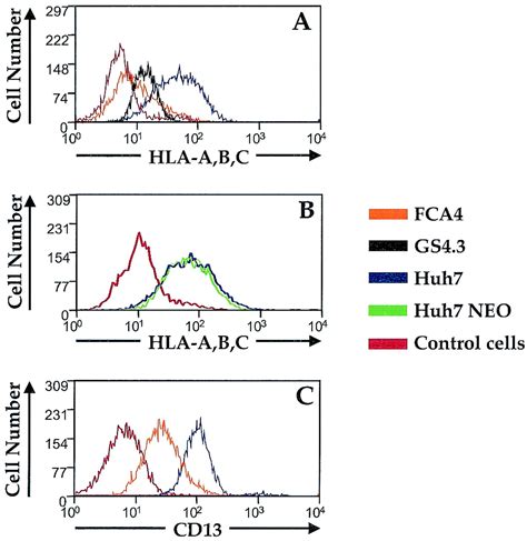 Cell Surface Expression Of Major Histocompatibility Complex Class I