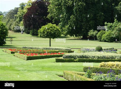 Formal Gardens With Low Hedges And Distant Trees Stock Photo Alamy