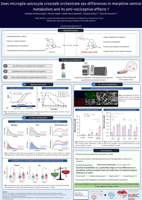 Pdf Does Microglia Astrocyte Crosstalk Orchestrate Sex Differences In