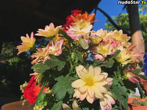 Erin Ashford Erinashford Erinofashford Https Nude OnlyFans Photo 6 Nudostar TV