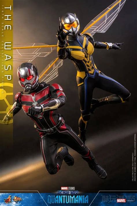 Hot Toys蚁人与黄蜂女量子狂潮黄蜂女The Wasp1 6 比例收藏级人偶 酷玩潮CHAO