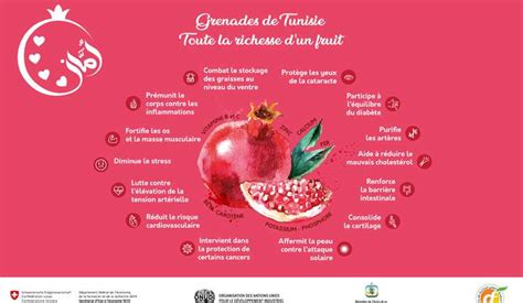 Les Bienfaits De La Grenade