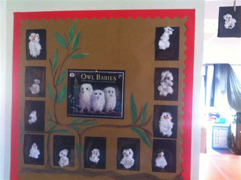 Owl babies classroom display Book Display, Art Display, Display Boards ...