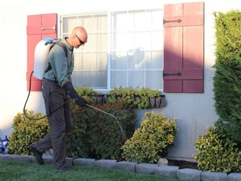 Лучшие садовые опрыскиватели: ТОП рейтинг 2023 года, фото лучших ...