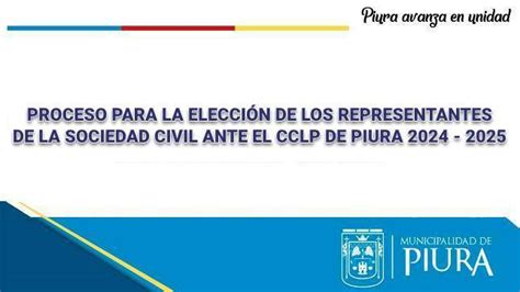 Proceso Para La Elecci N De Los Representantes De La Sociedad Civil