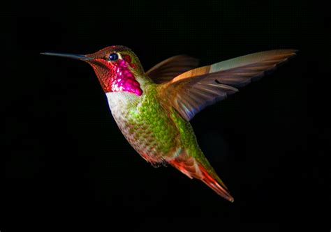 Прогрессирующий супрануклеарный парез