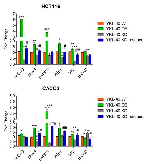 EMT Marker Expression Regulation In HCT116 And Caco2 Cells With