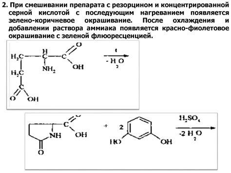 Аминокислоты и их производные - online presentation