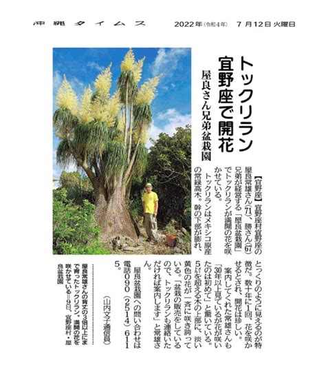 第174回 沖縄のグラビトン結界の第三者的検証