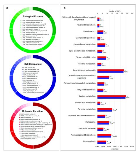 Gene Ontology Go Function Classification And Kyoto Encyclopedia Of