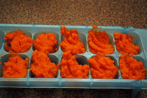 Mrs. D Loves to Eat!: Baby Food Antics: Carrots