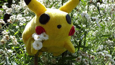 Removing How To Delete Pokemon x Save - Wavetechglobal