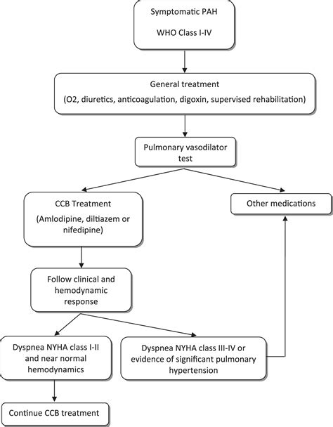 Pulmonary Vasodilator Testing And Use Of Calcium Channel Blockers In