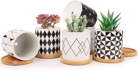 The Best Pots For Succulents Of Best Garden Tips