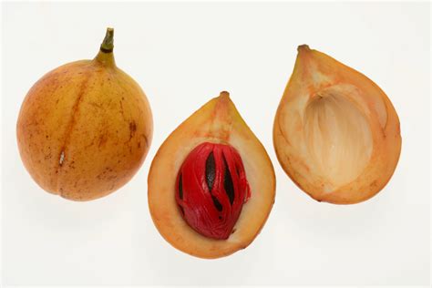 Nutmeg Benefits