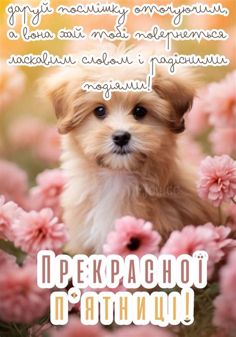 Красиві картинки - Гарної п'ятниці! (40 фото)