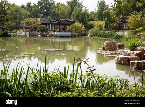 Tiger Hill Garden Stock Photo Alamy