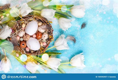Easter Composition With Easter Eggs In Nest Pussy Willow Branches And White Tulips Stock Image