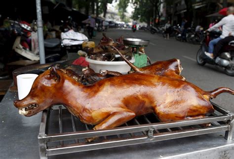 Delicious Dog Meat I Got While In Cambodia Rgrilling