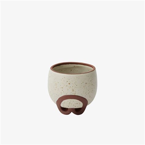 Omni – Safa Plant Co