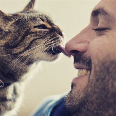 Hot Dudes With Kittens Instagram Is What You Need Right Meow Bored Panda