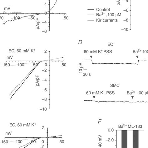 Endothelial cell Kir channels also mediate vasodilatation in response ...