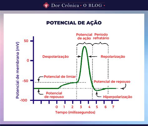O Que É Potencial De Ação