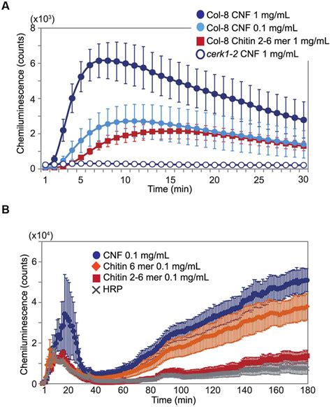 Generation Of Reactive Oxygen Species ROS By Chitin Nanofiber