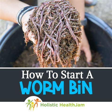 How To Start A Worm Bin Vermicomposting Worm Farm Worm Farm Diy