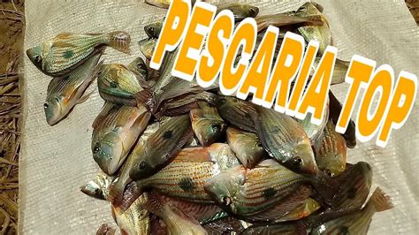 Pescaria De Porquinho No Rio Grande Youtube