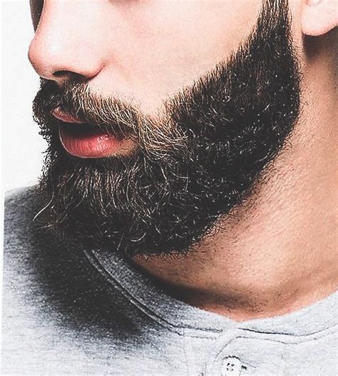 Краска для бороды и усов: фирмы-производители, как использовать