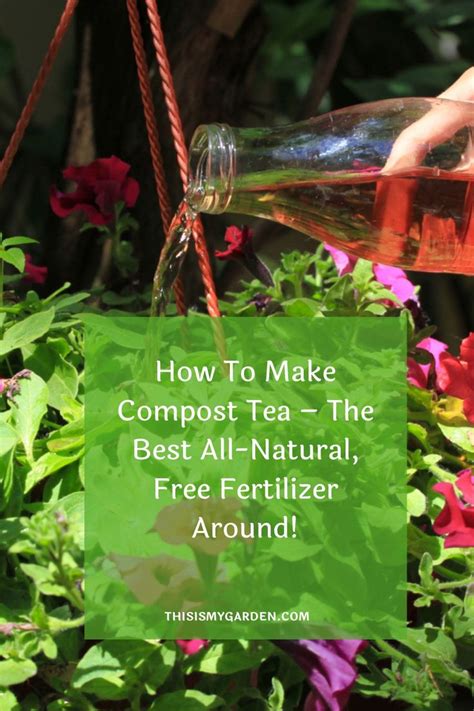 How To Make Compost Tea The Best All Natural Free Fertilizer Around