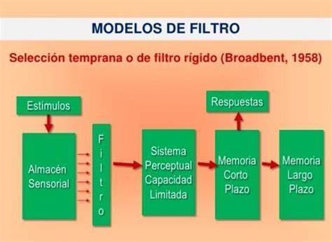 Modelos Y Teorías De La Atención Mind Map