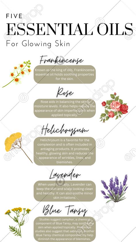 Top Five Essential Oils For Glowing Skin By Myka Schober