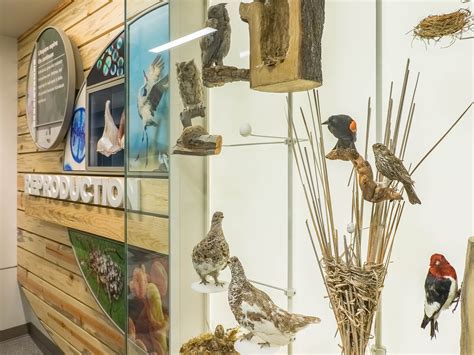Department Of Biology At Colorado State University Studio Tectonic