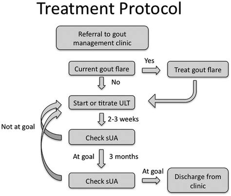 What Is Therapeutic Target For Gout Patients at Kathy Foley blog