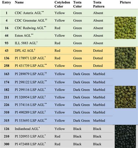 Mass Spectrometry Based Untargeted Metabolomics Reveals The Importance