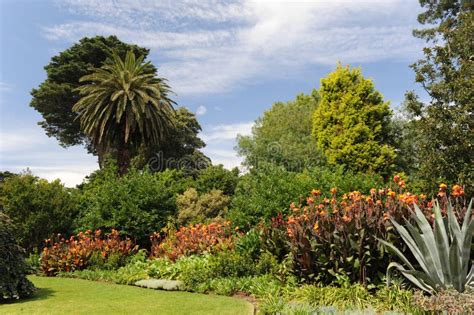 Melbourne Botanical Garden stock image. Image of australia - 19260301