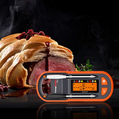 Smart Meat Thermometers: The Key to Precision Cooking Made Easy - The ...