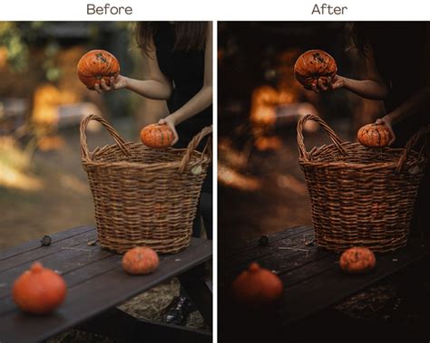 10 Rustic Fall Lightroom Mobile Desktop Presets Fall Presets Fall