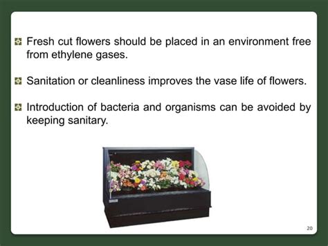 Cut Flower Production In Sl